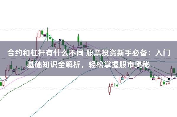 合约和杠杆有什么不同 股票投资新手必备：入门基础知识全解析，轻松掌握股市奥秘