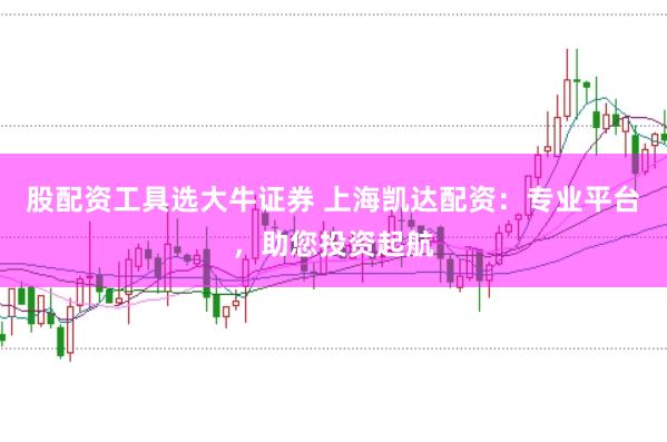 股配资工具选大牛证券 上海凯达配资：专业平台，助您投资起航