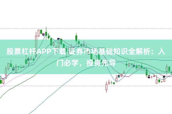 股票杠杆APP下载 证券市场基础知识全解析：入门必学，投资先导