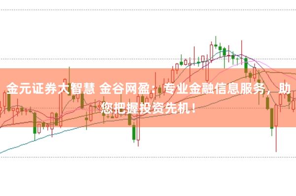 金元证券大智慧 金谷网盈：专业金融信息服务，助您把握投资先机！