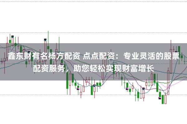 鑫东财有名杨方配资 点点配资：专业灵活的股票配资服务，助您轻松实现财富增长