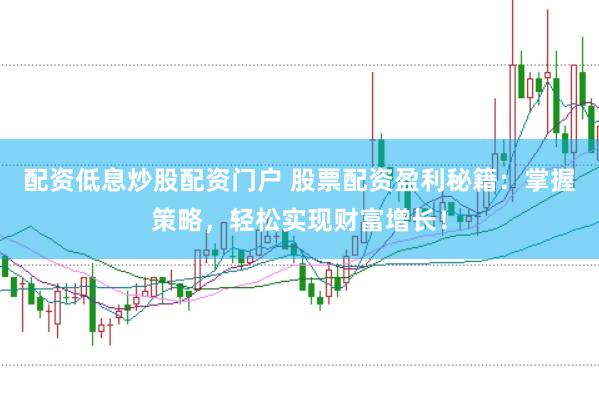配资低息炒股配资门户 股票配资盈利秘籍：掌握策略，轻松实现财富增长！