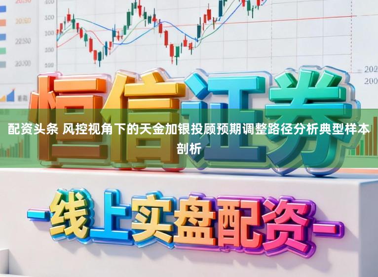 配资头条 风控视角下的天金加银投顾预期调整路径分析典型样本剖析