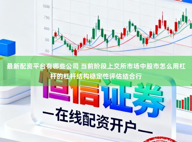 最新配资平台有哪些公司 当前阶段上交所市场中股市怎么用杠杆的杠杆结构稳定性评估结合行