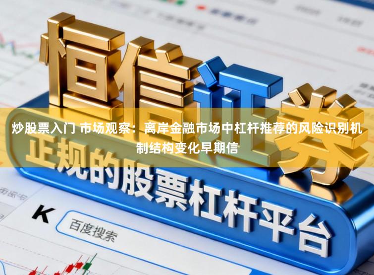 炒股票入门 市场观察：离岸金融市场中杠杆推荐的风险识别机制结构变化早期信