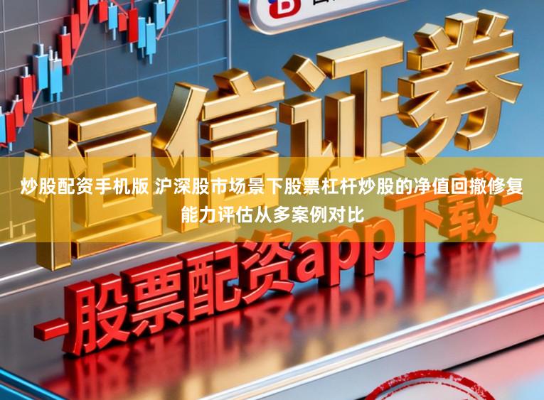 炒股配资手机版 沪深股市场景下股票杠杆炒股的净值回撤修复能力评估从多案例对比