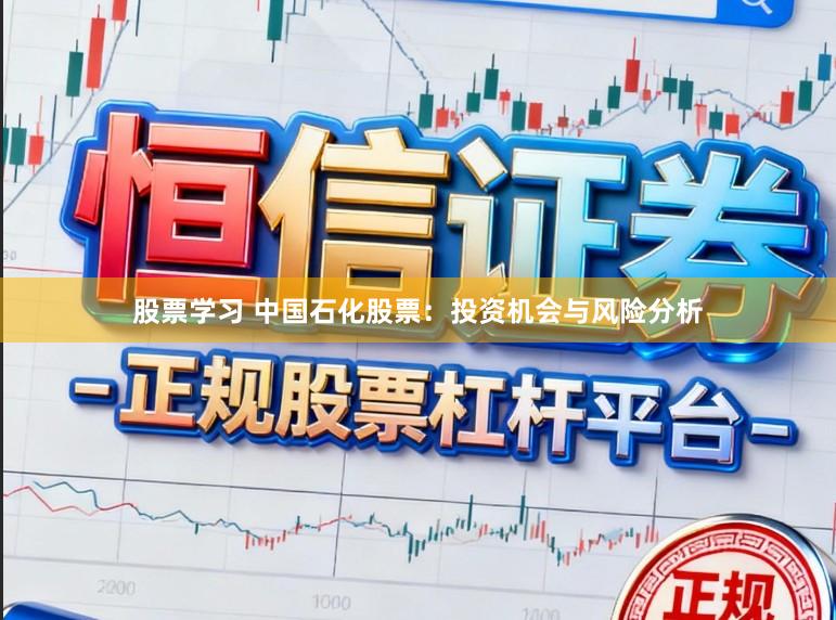 股票学习 中国石化股票：投资机会与风险分析
